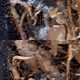83050403578303581062684763028563900118140471107062979851424692924468774830081