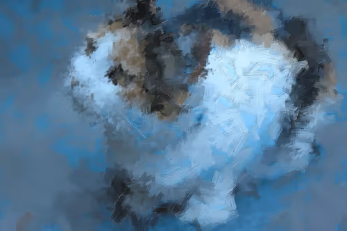 Item #102913120143002098146872156634994313704115990316397104109370149498500476305409 Media