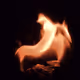 97072009111397578454317184646949275091428886079721159473245250363411792920577