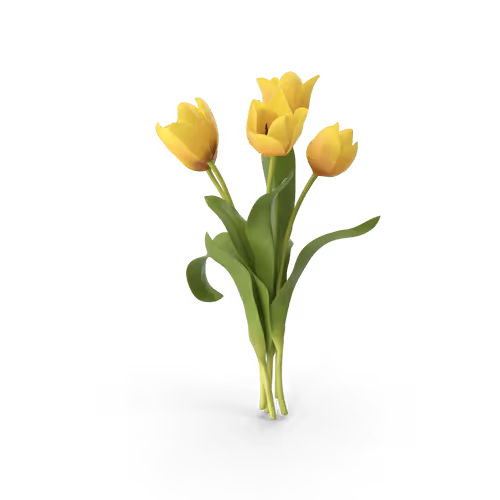 Item #10692128177869217616549875812351760064044743259876947564500344197671481769985 Media