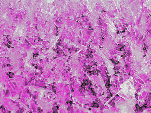 Item #765092353256913632150919755788123742064288550691722566356929305669682593802 Media