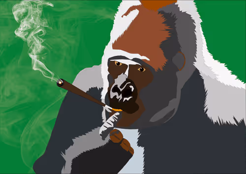 Item #46679994496108624530020148644785155104419172278486625888968680936634163658753 Media