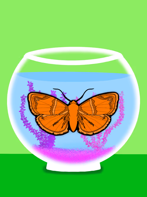 Item #26695375726130491819846042962505402337385115040526357390892607931409563123713 Media