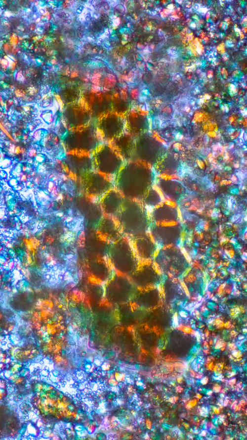 Item #11248459499450087743120670419350516870464666210533379678021336317992961572865 Media