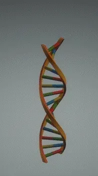 Item #114159790618799066981117858442143259957507405058775658943405147112089375997953 Media