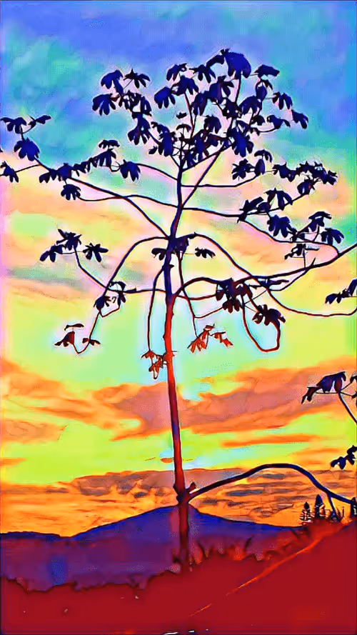 Item #49606109591385685155251817416032974154831209792885386408390178016745316417537 Media