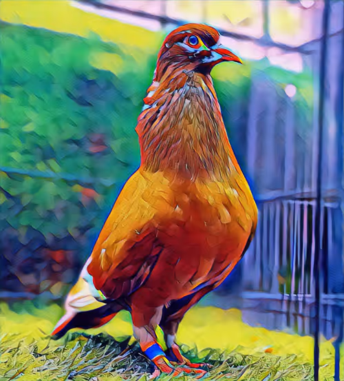 Item #10094219962135783735053489214764519107745543906553609880987490854987571920897 Media