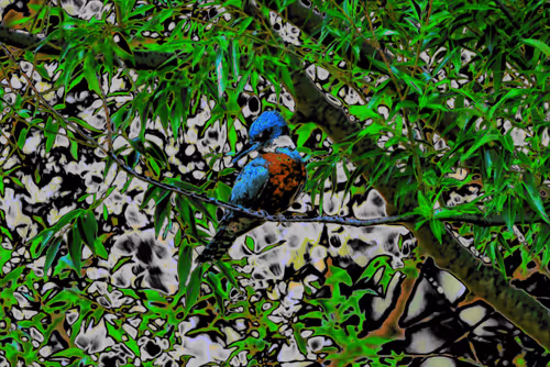 Item #97472780855113725442361506406406632137290984226550429674679319529749120811009 Media