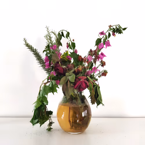 Item #87003207589931118822218281437448867168500866218263883081320957839623917142017 Media