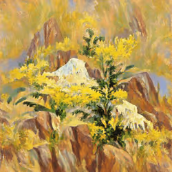 95949048702184002022994543019454797960309252011183799747181742800566252208129