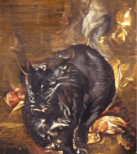 Untitled Collection #272238584