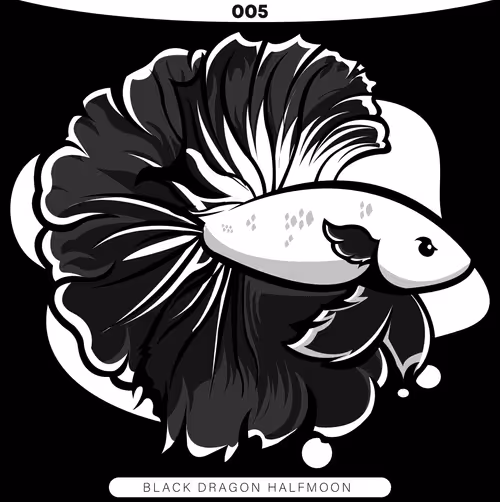 Item #71915282176282174012632358448723633474544225318645324977784202287801136316417 Media