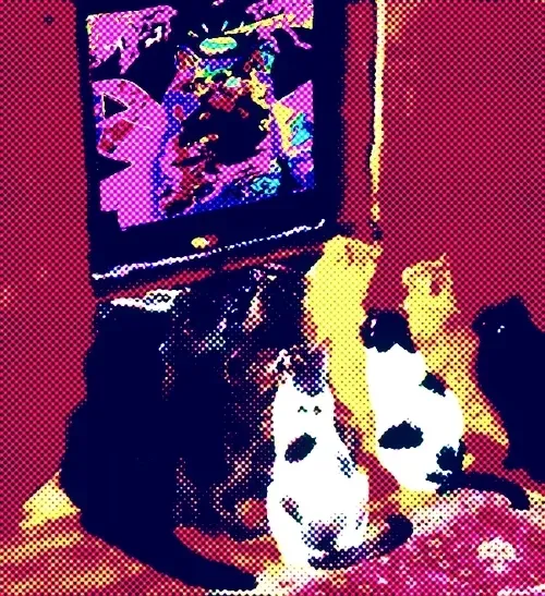 Item #65102793347516964892455996563739969415709653174372089781381359433993672458242 Media