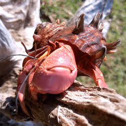 91920838516500969586140493576070920060778375503638515337937380309627828174849