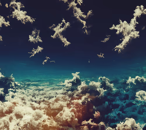 Item #81012399425838537739345615190609762296361167523104163711762433847496825372673 Media