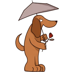 DOGE DOGY series 40/6