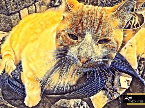 Item #70173555060280459679020221103172679865592931086946583501557978913986874179585 Media