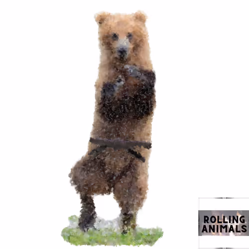 Item #16071892530185583533292171481922346274587217660031435578034334503475284541450 Media