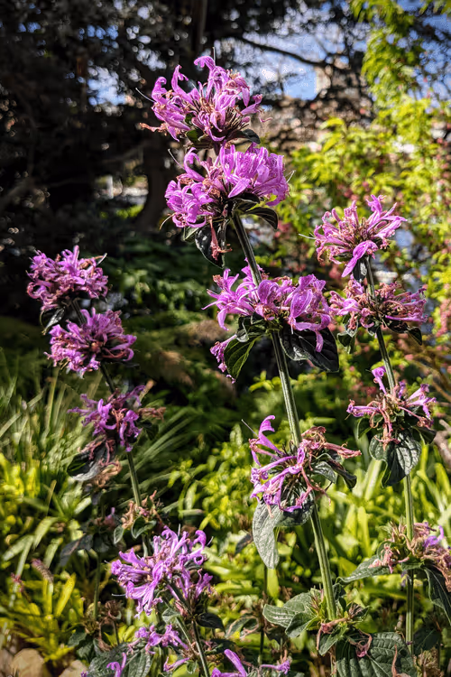 Item #39075669952795110311488058078452160275975432518977374571902800550845065723905 Media