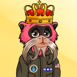 67182258498829374843706483608151563094647588442130083225553784015765138046977