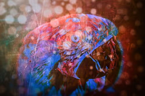 Item #45454897768330312050306327593764042770009243947436545053610604852051303202916 Media