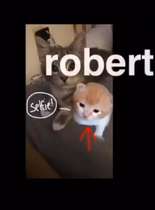 Item #100944255907451799266059540088402657668052309998080285023641344502585102439304 Media