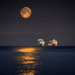 to the moon