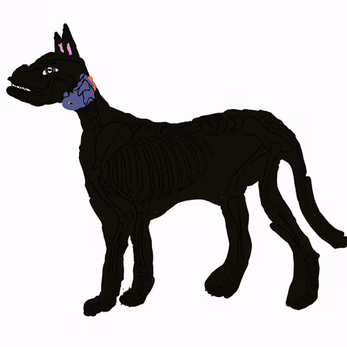 Item #66115251428437251400949335005857765940906863007353817121707627020944173694977 Media