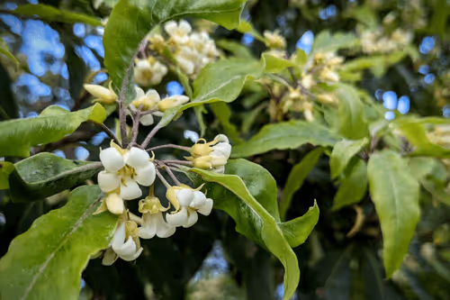 Item #39075669952795110311488058078452160275975432518977374571902800566238228512769 Media