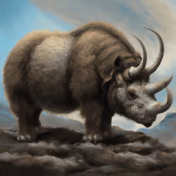 Woolly Rhinoceros