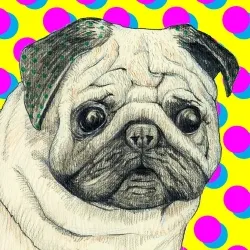 75504568957216009271532412225991883014141589967078103544589205083496864808961