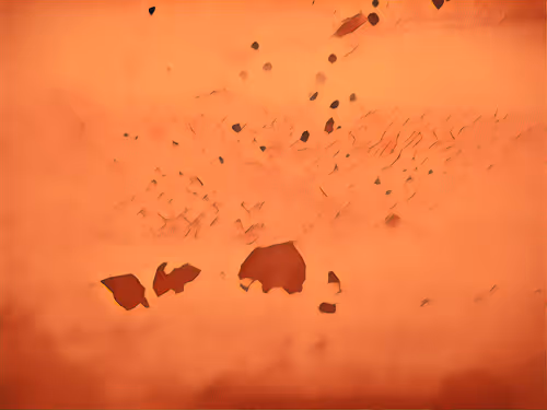 Item #16558374224031309544810590642259060897408029573872384606006677157369010454529 Media