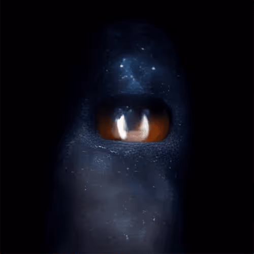 Item #114087174487934619201434824313700903145403848734953658040417905382381229965313 Media