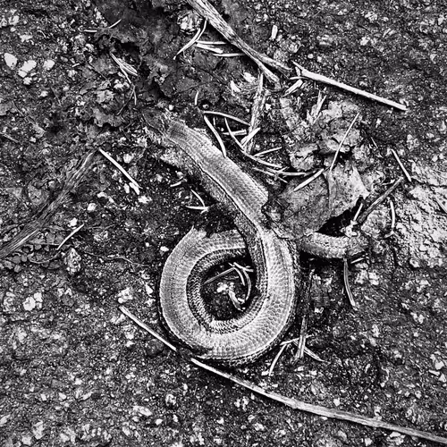 Item #45379688889578269804050940960801147977677279461420903634206690022415690366977 Media