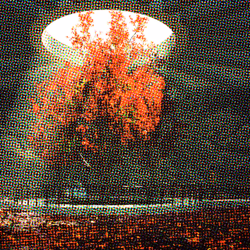 Item #84760481866702772600281039990119912761654064668083854045345653135771093172225 Media