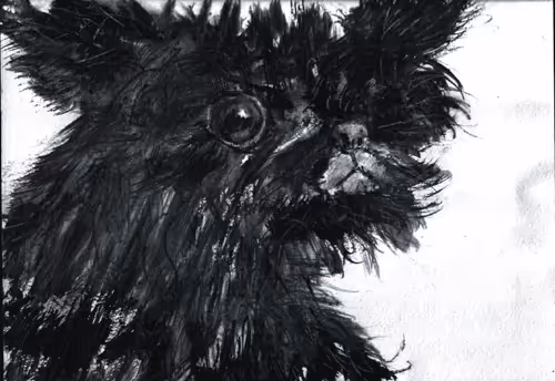 Item #53661683660994396488981893260373811515315705590489664499670501600317208102560 Media