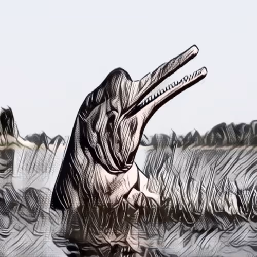 Item #50533192108599939293967127889299662602908893297659253807051018218277515034625 Media