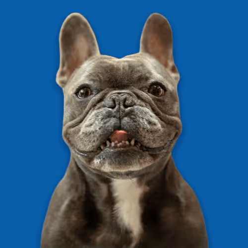 99031261785432219130552668818269695456905868997165113515571762258778091683841