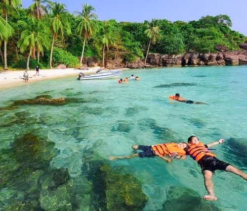 Untitled Collection #68613542