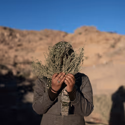 109162157552346088047496633038404394118504199992061596446112929320356664049665