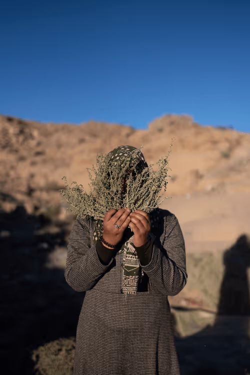 Item #109162157552346088047496633038404394118504199992061596446112929320356664049665 Media