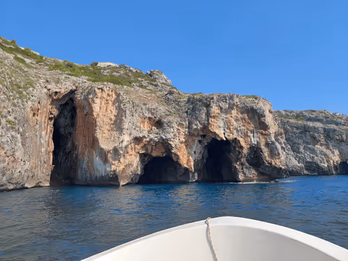 Item #43505702085321246701285015339688837487321998718285252344027785142449716854785 Media