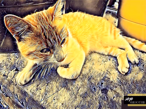 Item #70173555060280459679020221103172679865592931086946583501557978898593711390721 Media