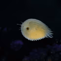 93923887731966639760197662534300547726212510779526051617655967287626354917377