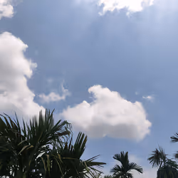 38304659497816311300520956419681719927441087838656269258437146674716794159105