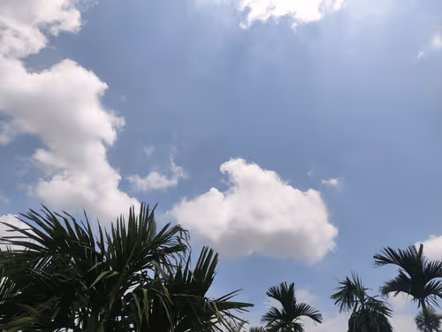 Item #38304659497816311300520956419681719927441087838656269258437146674716794159105 Media