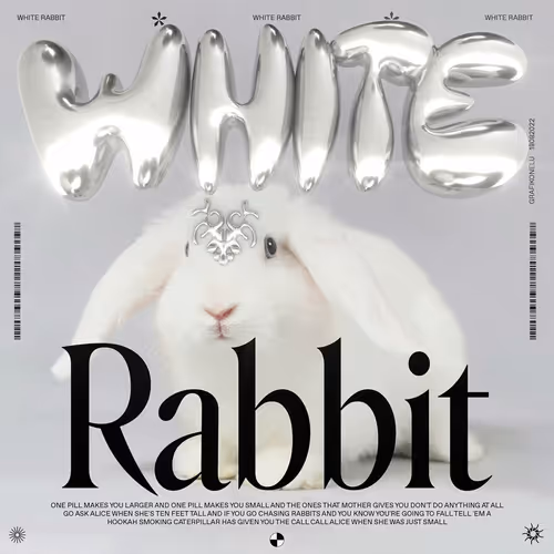 Item #66070349754253350961759066842749195407243826672506406752216399514219627675649 Media