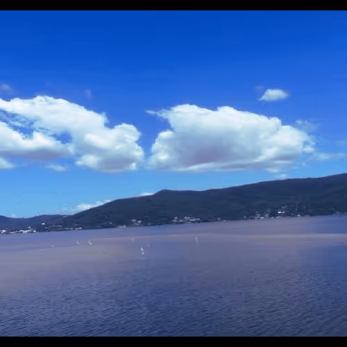 Item #42655069450279595702778439768559423805970000241868820674688539758957229506561 Media