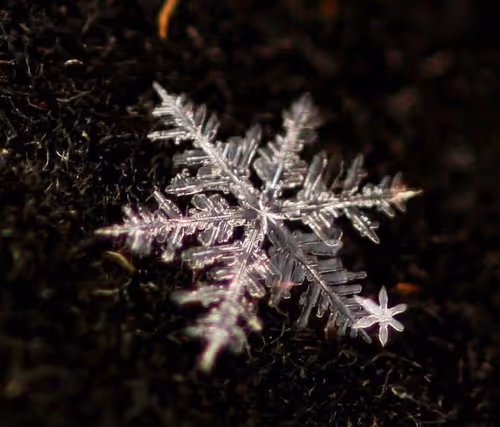 Item #111720498439543911892778838085242656702345268636486445460070760175555594682369 Media