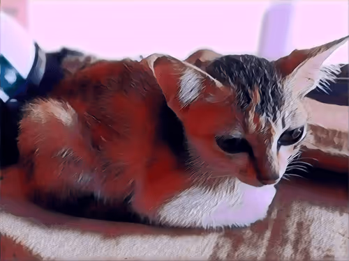 Item #74122138759525378795667626270866148487737655975912799548892276712444008595457 Media